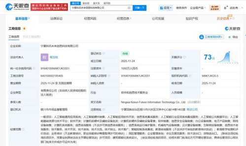 科大讯飞宁夏新设信息科技公司，千万元注册资本加码软硬件技术开发